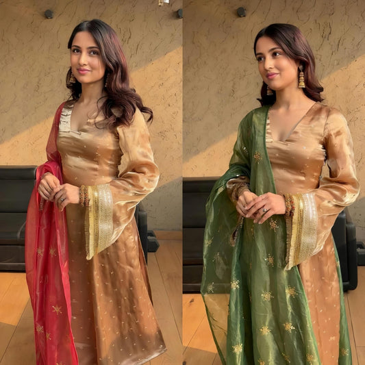 Chiku Color Beautiful Dress in Jimmy Choo Fabric with double dupatta