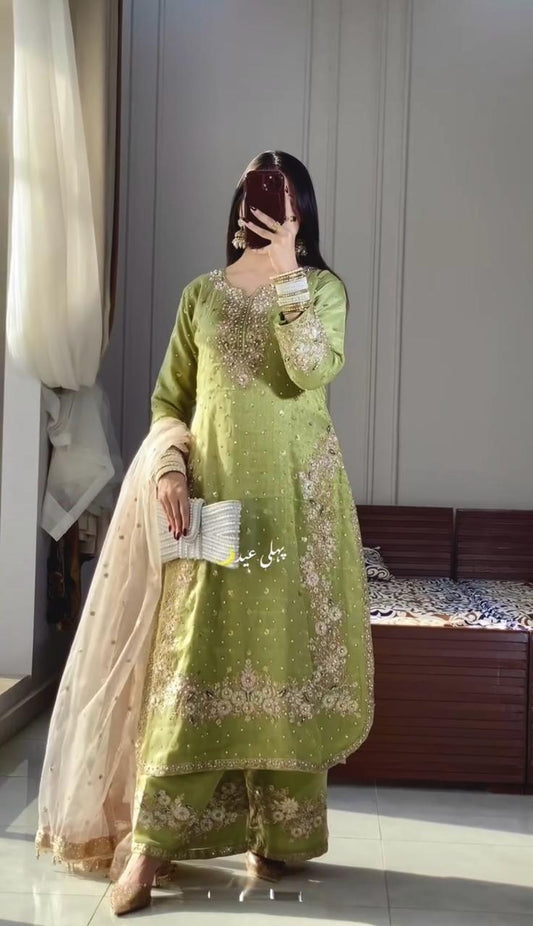 Light Green Color Beautiful Partywear Jimmy Choo Dress