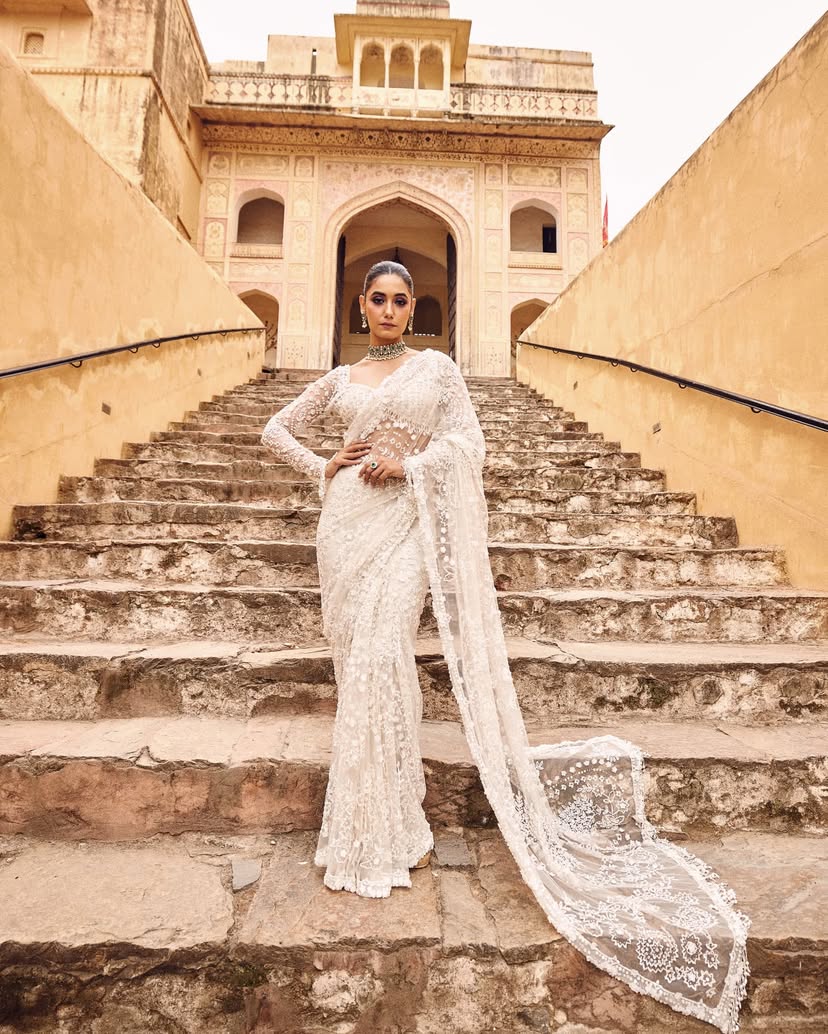 Beautiful Partywear Saree in Net FAbric For Wedding Wear