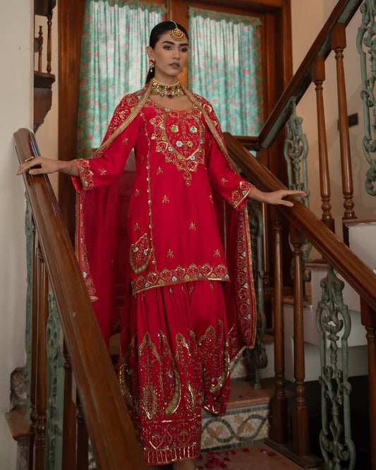 Red Color Beautiful Plazo Dress in Chinon Fabric
