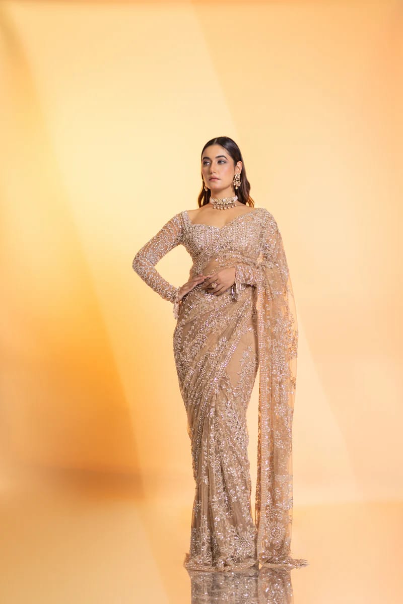 Beautiful Saree in Net Fabric for partywear function