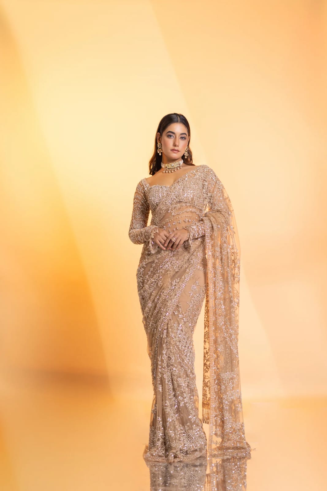Beautiful Saree in Net Fabric for partywear function