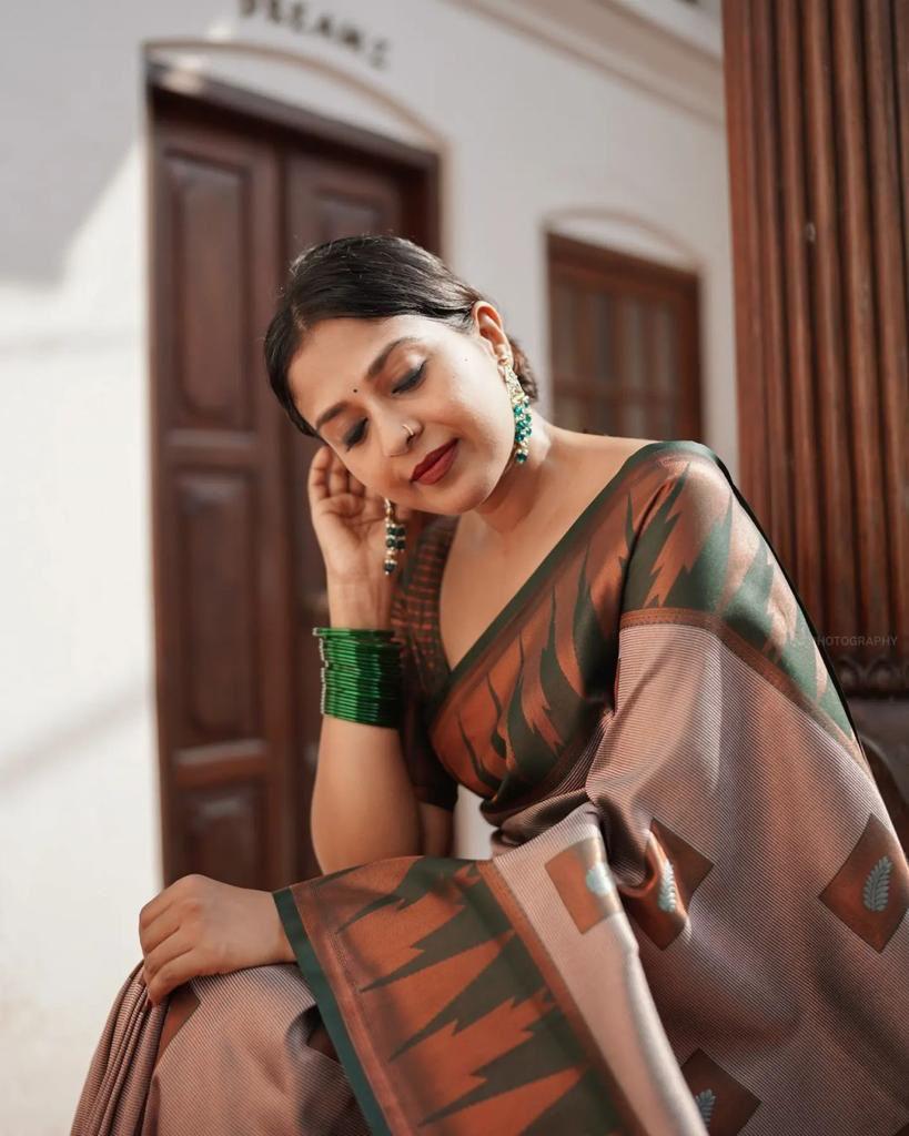 Beautiful Banrasi Silk Saree For Wedding Function