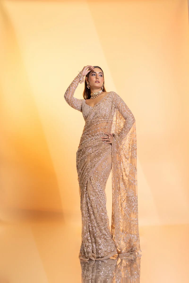 Beautiful Saree in Net Fabric for partywear function