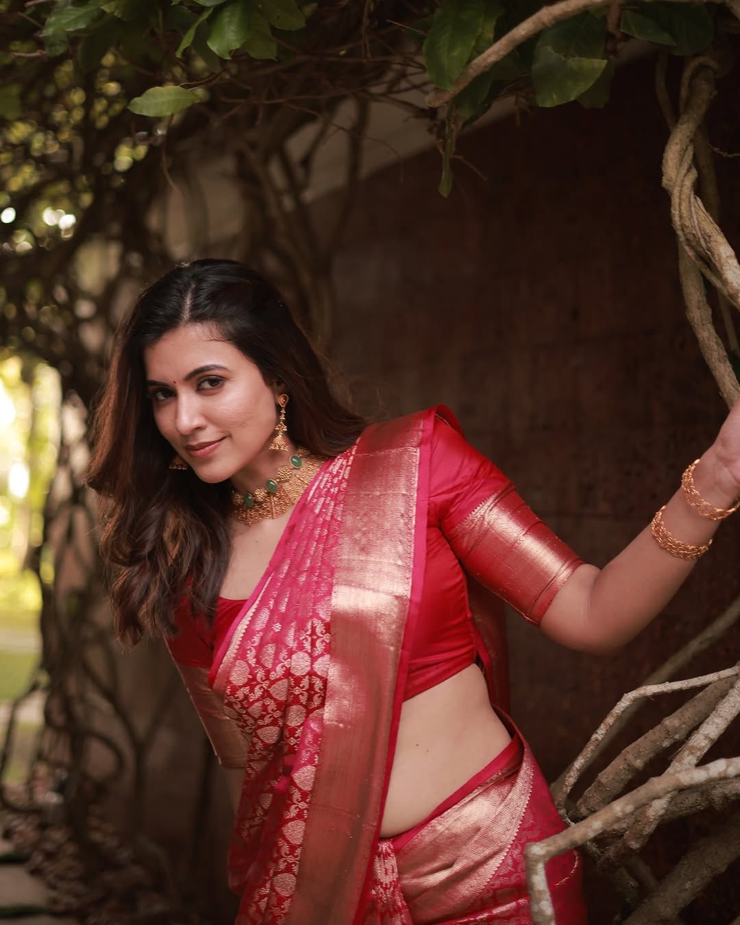 Pink Color Beautiful Partywear Bananasi Silk Saree