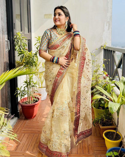 Beautiful Partywear Light Color Saree in Organza Fabric