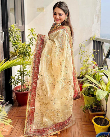 Beautiful Partywear Light Color Saree in Organza Fabric