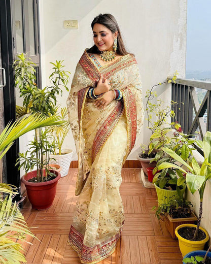 Beautiful Partywear Light Color Saree in Organza Fabric