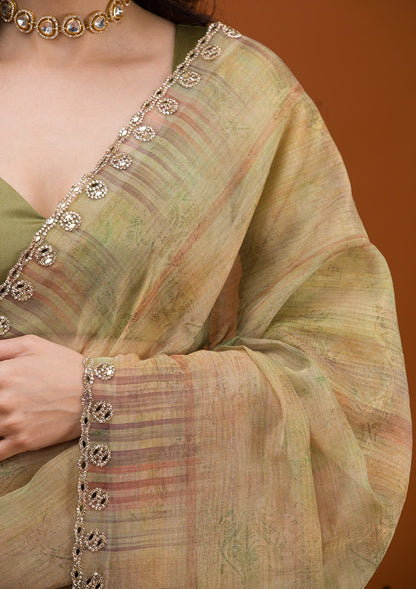 Beautiful Soft Tabby Organza Saree