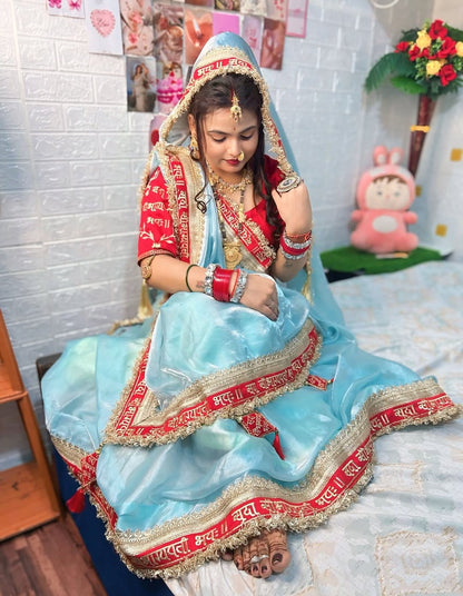 Sky BLue Color Beautiful Partywear Saree