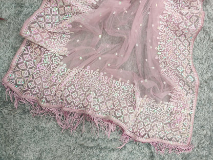 Net Fabric Saree for Partywear function