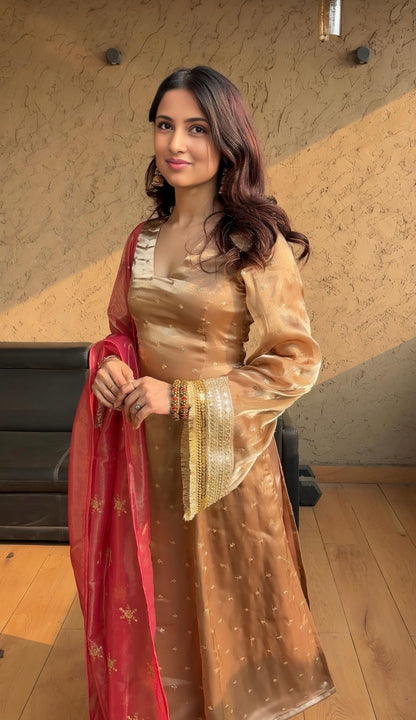 Chiku Color Beautiful Dress in Jimmy Choo Fabric with double dupatta