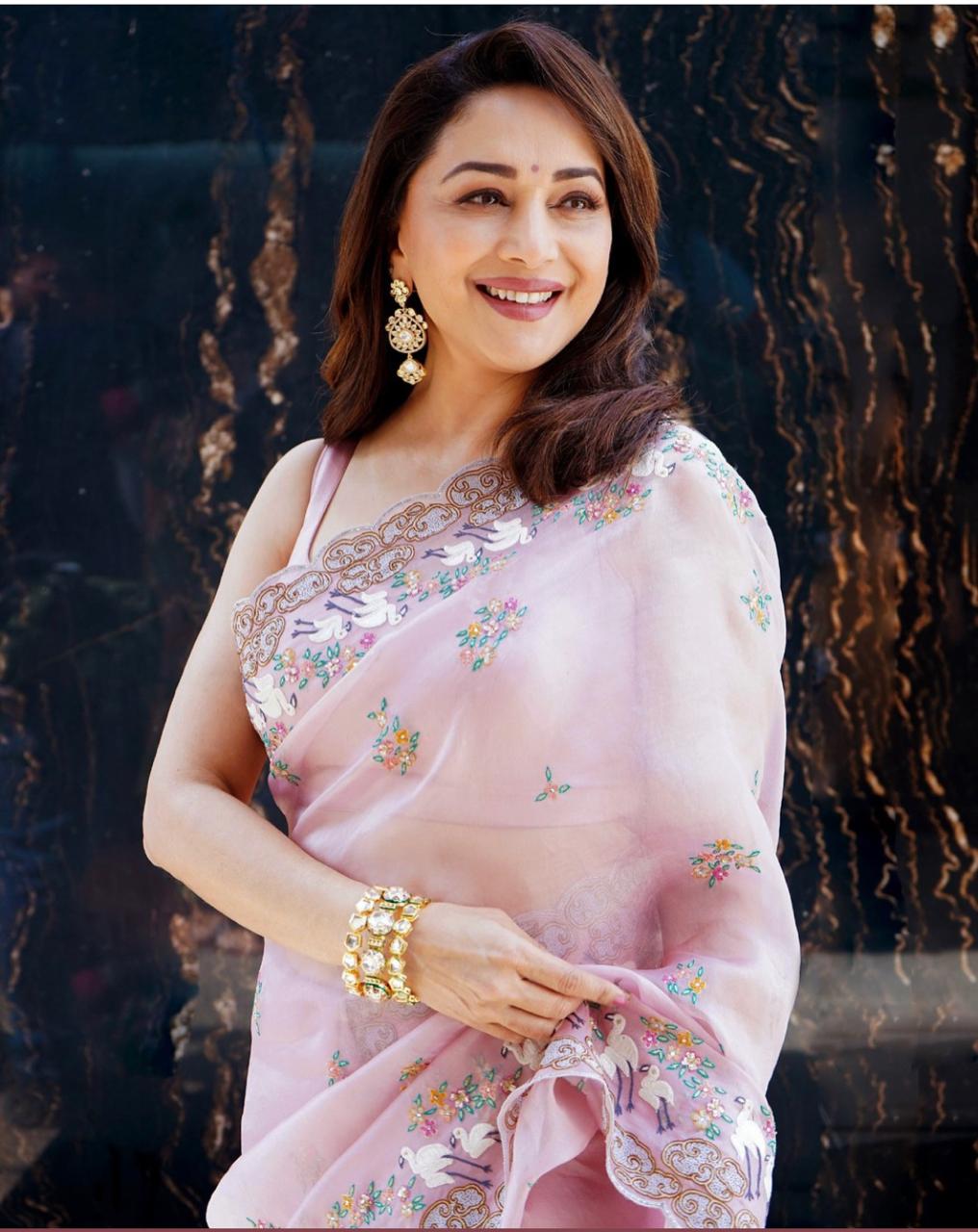 Madhuri Dixit Bollywood Organza Fabric Saree