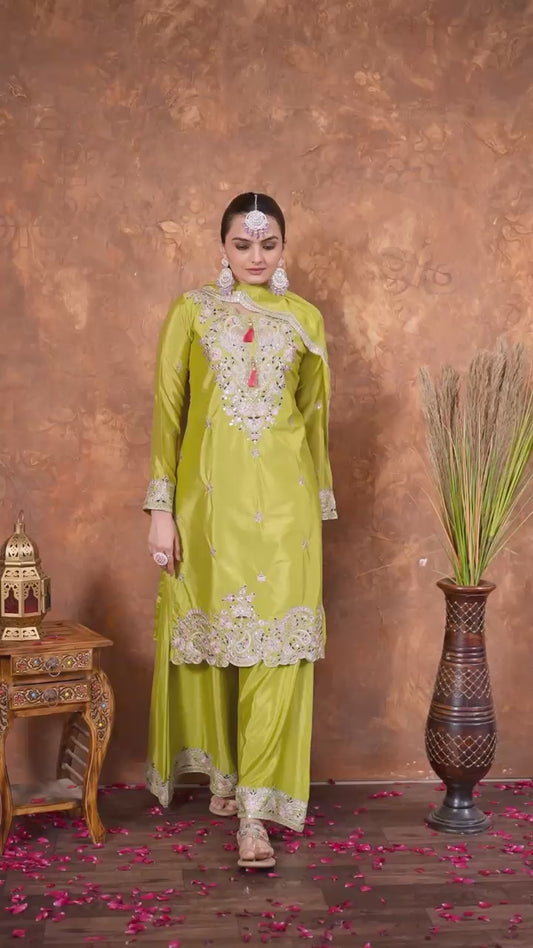 Dress Light Green Beautiful Chinon Silk Partywear