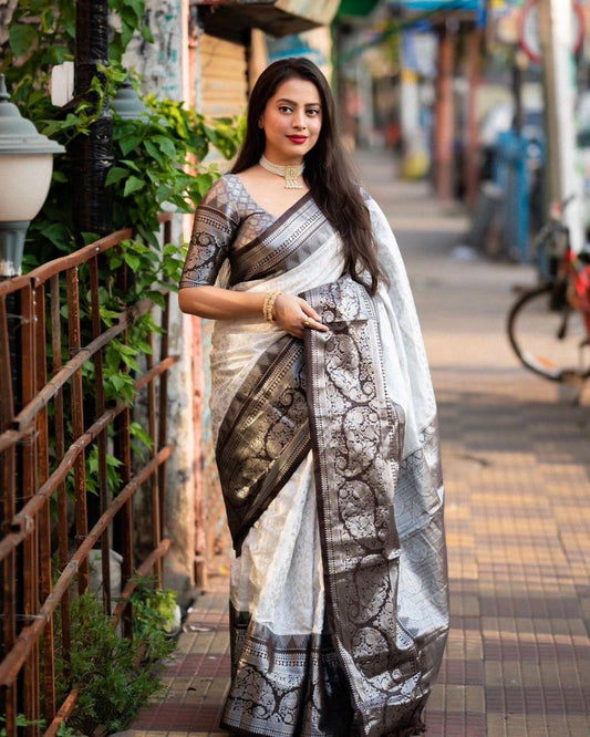 Beautiful Silk Saree for Daily Wear use