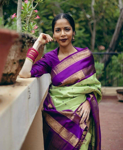 Beautiful Banarasi Silk Saree