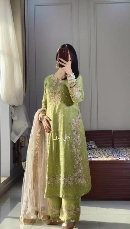 Light Green Color Beautiful Partywear Jimmy Choo Dress