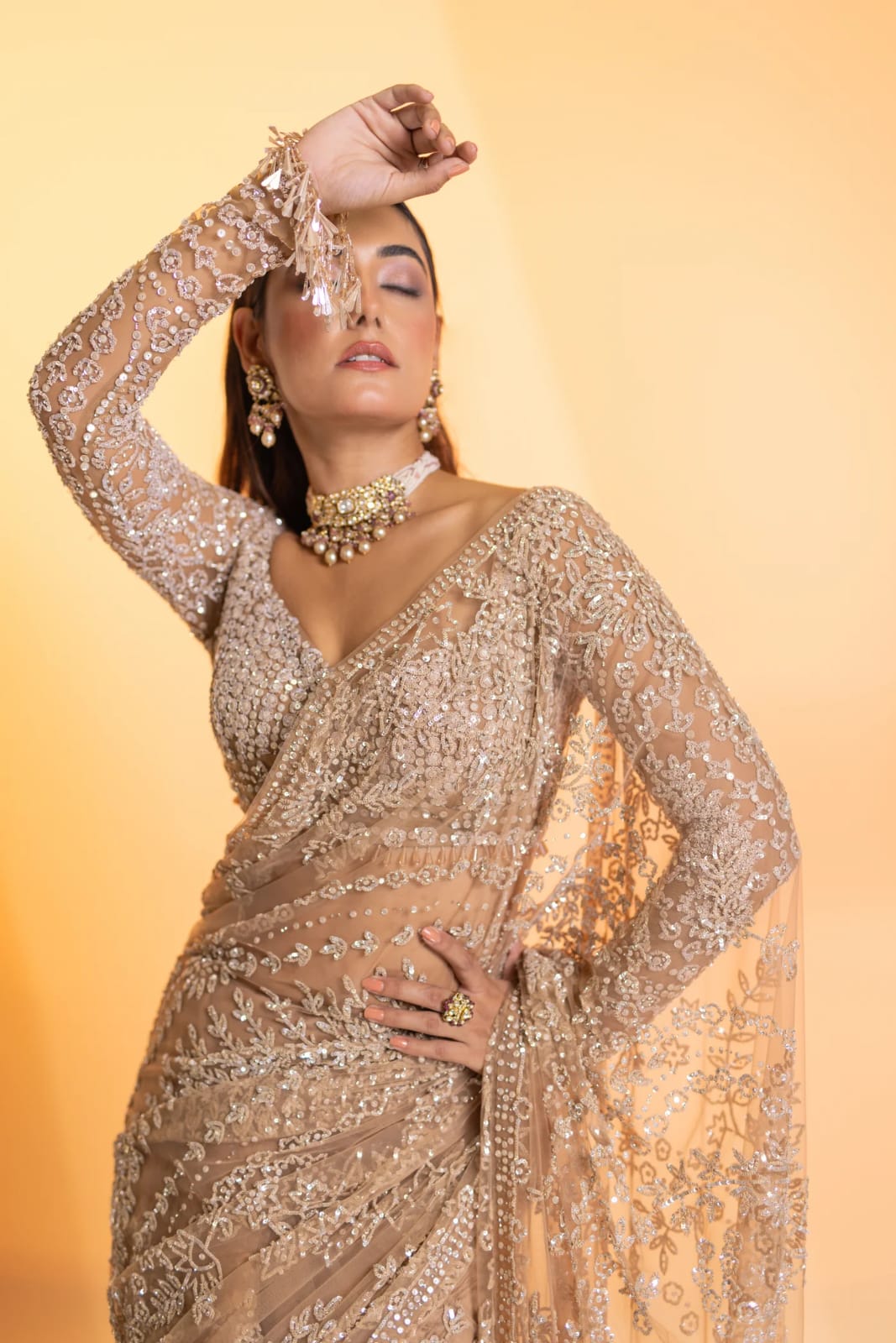 Beautiful Saree in Net Fabric for partywear function