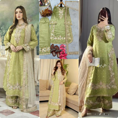 Light Green Color Beautiful Partywear Jimmy Choo Dress